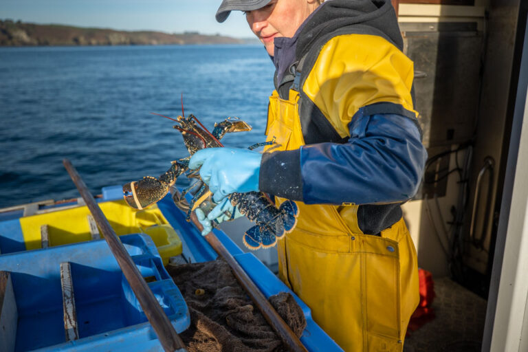 Pêcheur professionnel en action sur son bateau en mer